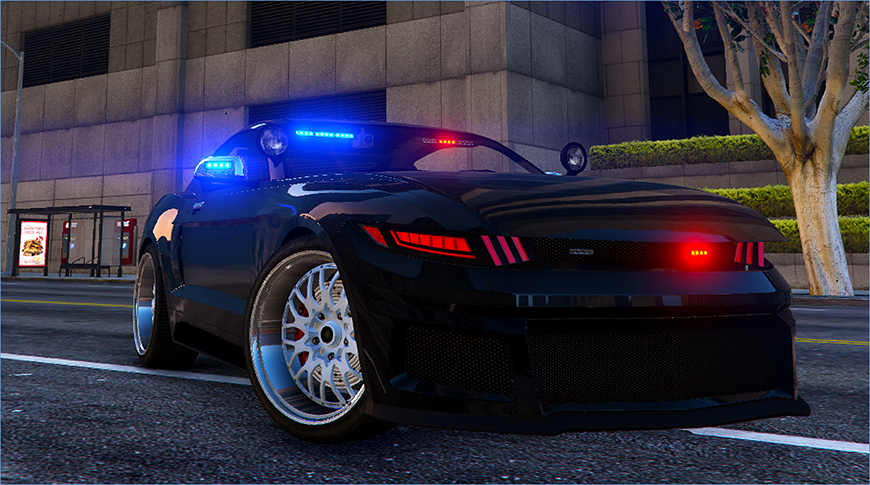 Law Enforcement Roleplay